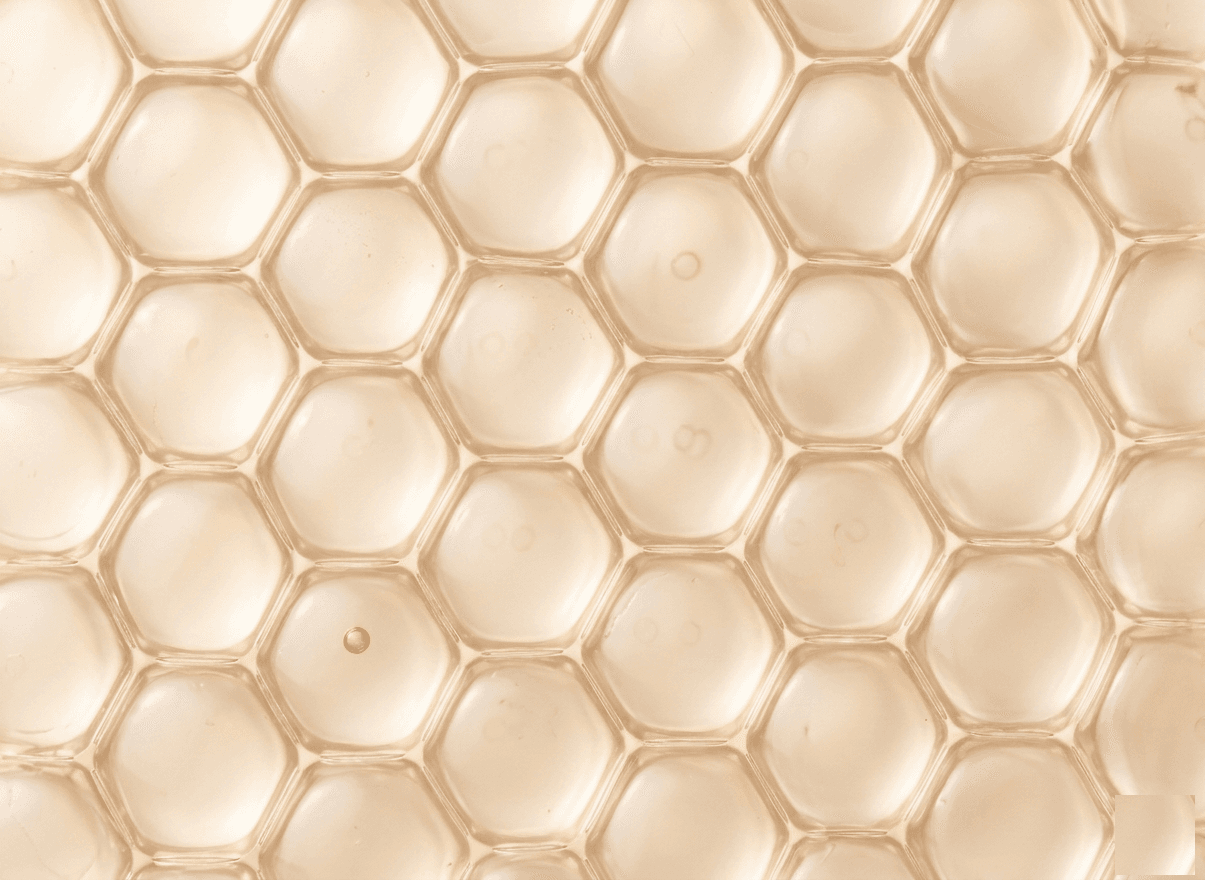Macro detail of the champagne hexagonal microreservoir lattice