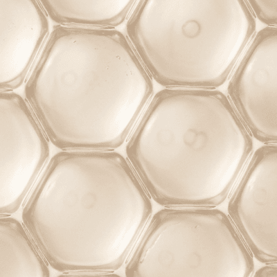 Macro detail of the hexagonal microreservoir lattice